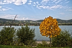 Green and yellow