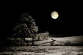 Za svitu luny