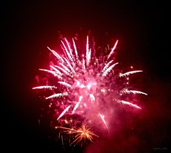 Silvestrovské kvietky