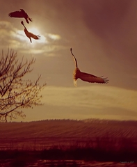 Jarné prebúdzanie 3