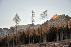 posledne luče
