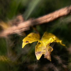 Jesenné hviezdne úlety 2