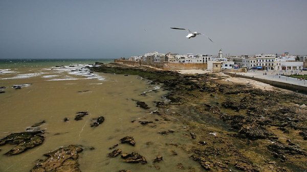 Africká Essaouira (Maroko)