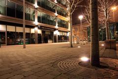 The bench view