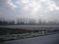 Polia