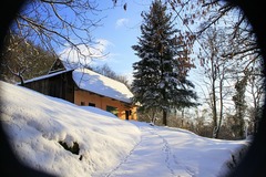 Drieňovka