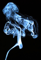 Don't Smoke !
