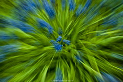 explode