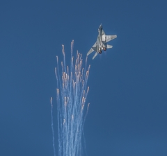 SIAF 2015