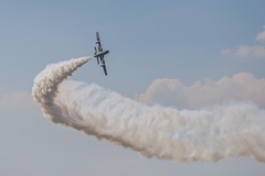 SIAF 2015