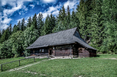 Dreveica /Zuberec/