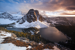 koniec leta u Assiniboincov II