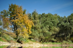Jesnenná hladina