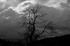 strom