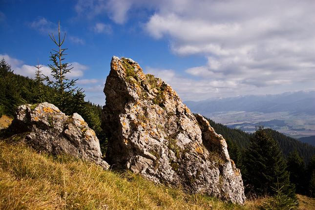 Pod Chočom