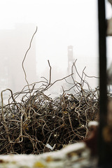 Urban ugliness