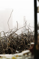 Urban ugliness