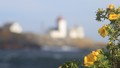 Langesund in summer