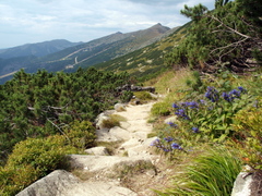 Nízke Tatry II
