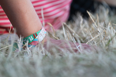 Pohoda