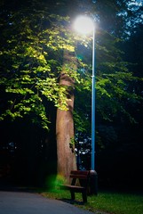 Light of life