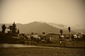estepona