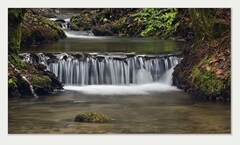 Keď ryby neberú, vyber fotak