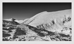 za kopčekom P I V O