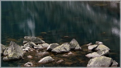 Fragment - Wahlenbergovo pleso