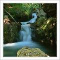 Potok -