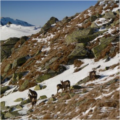 Do tretice všetko dobré