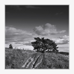 Strom 1