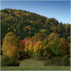 Farebná