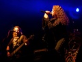 Cibulafest 2012