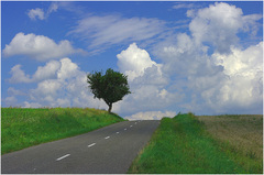 Nedeľná