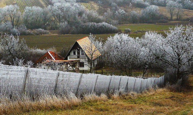 Záhrada