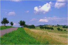Nedeľná 2
