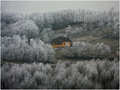 oáza pokoja