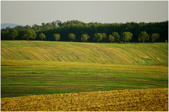 jesenná