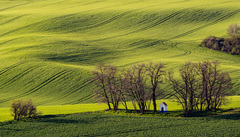 Svatobořický symbol
