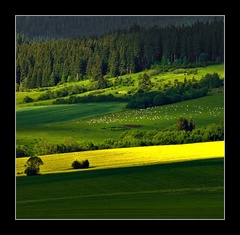 Liptovské pohľady