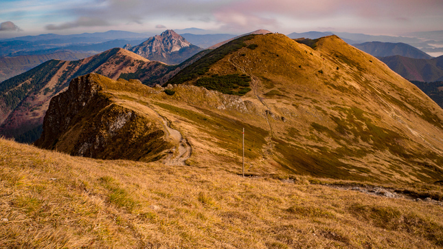 "autumn curves"