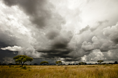 NAMIBIA - PRED DAŽĎOM