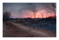 Wasteland