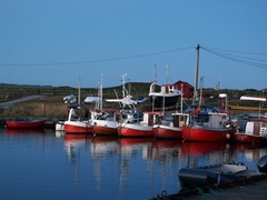 Lodenica