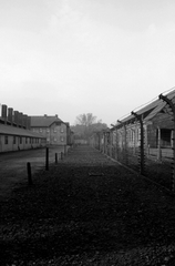 Koncentračný tábor