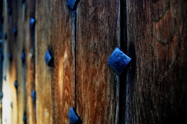 Detail dubovych dveri