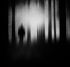 Forest...