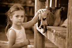 láska na prvé pohladenie