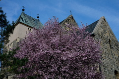 Dvě kutury